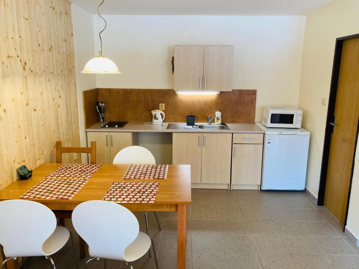 Appartement Studia Pod Lysou à Rokytnice nad Jizerou Extérieur photo