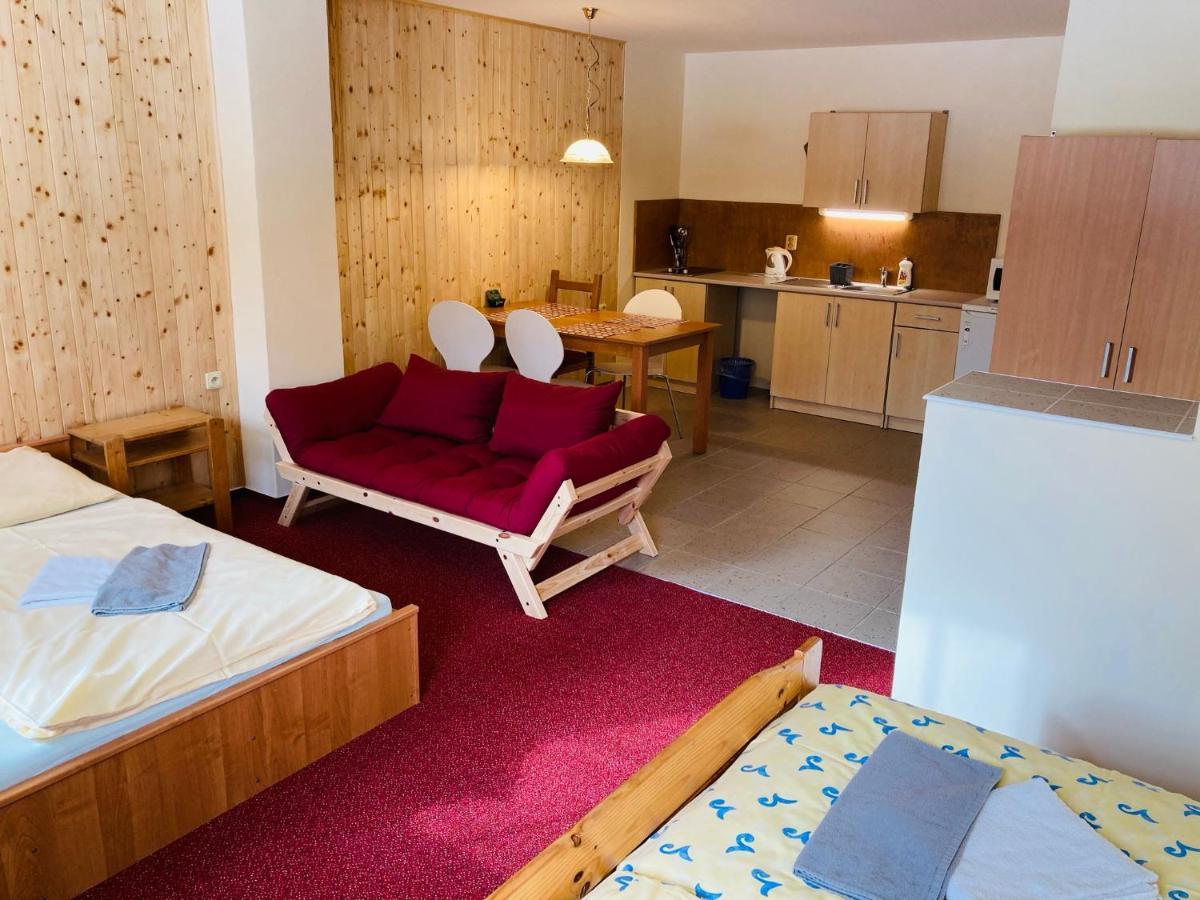 Appartement Studia Pod Lysou à Rokytnice nad Jizerou Extérieur photo