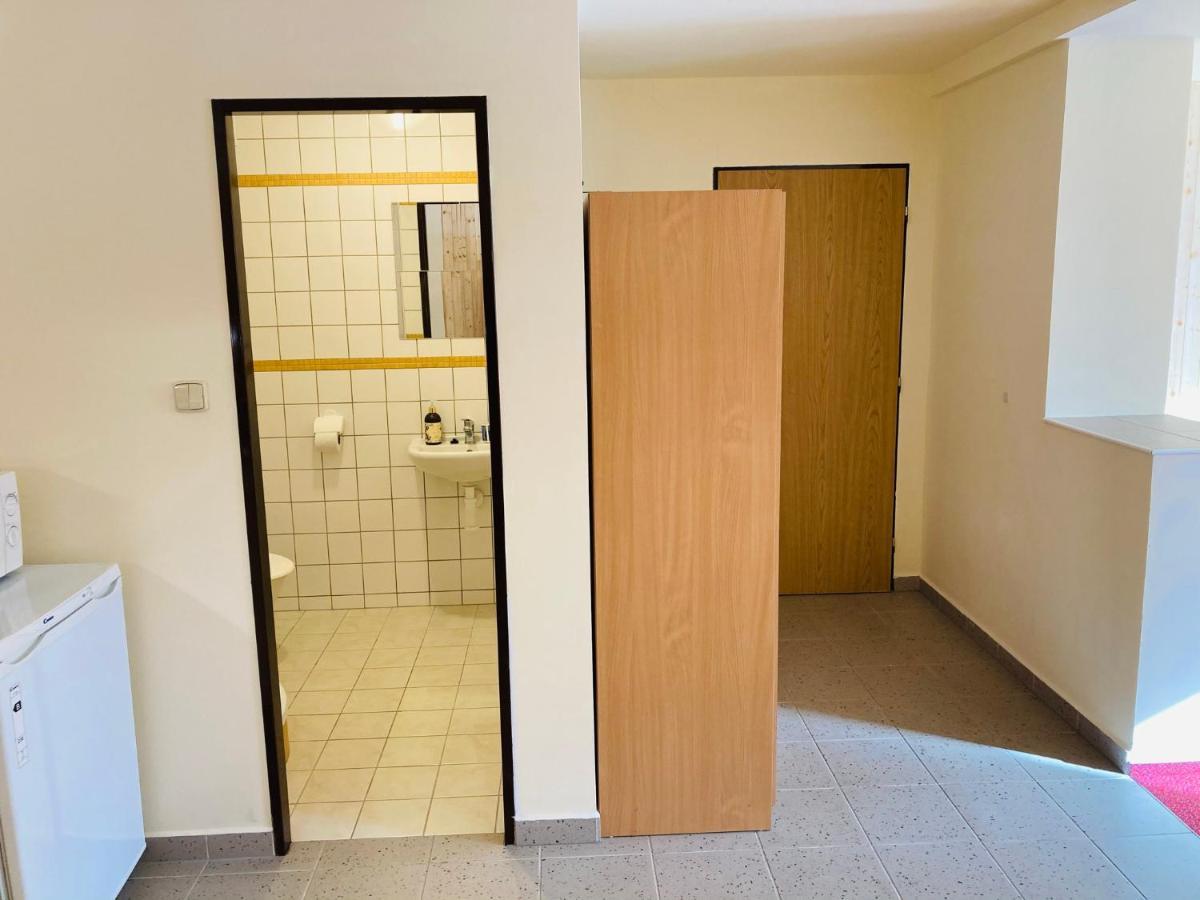 Appartement Studia Pod Lysou à Rokytnice nad Jizerou Extérieur photo