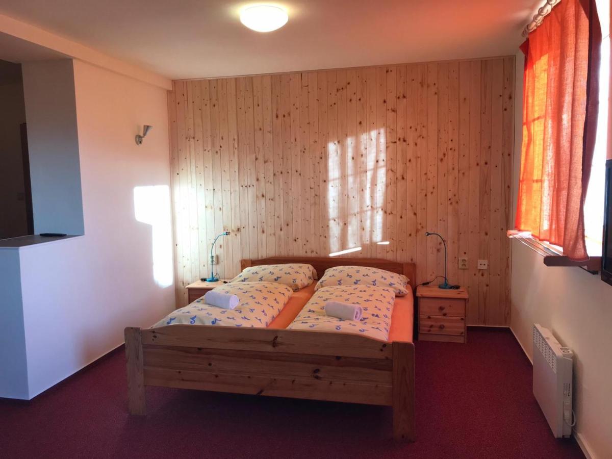 Appartement Studia Pod Lysou à Rokytnice nad Jizerou Extérieur photo