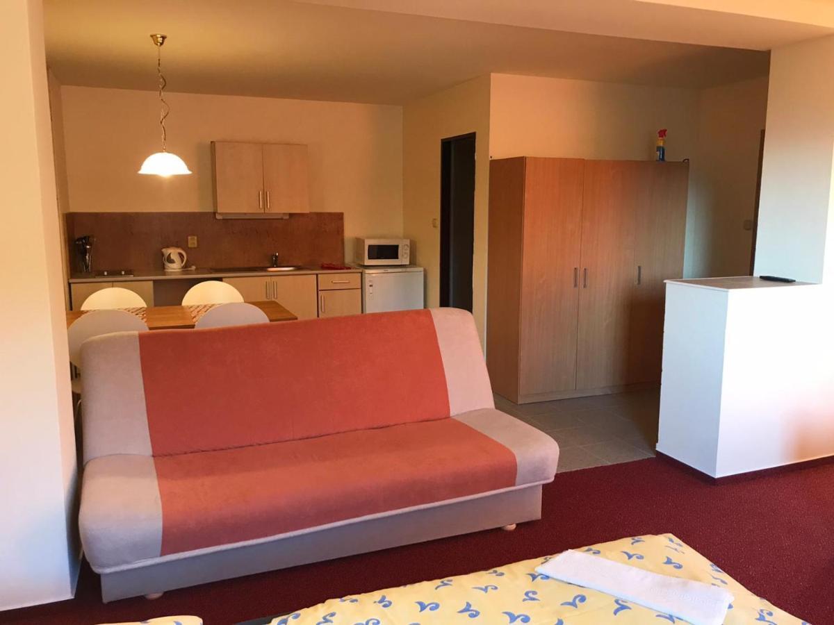 Appartement Studia Pod Lysou à Rokytnice nad Jizerou Extérieur photo