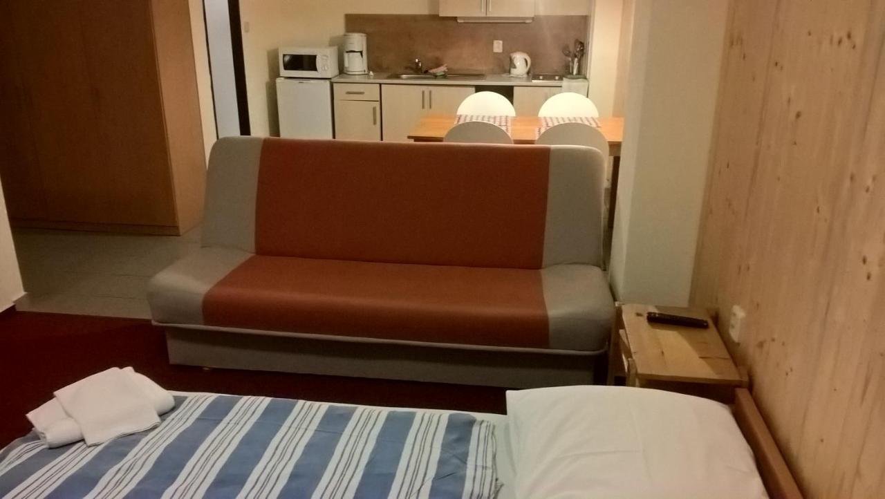 Appartement Studia Pod Lysou à Rokytnice nad Jizerou Extérieur photo