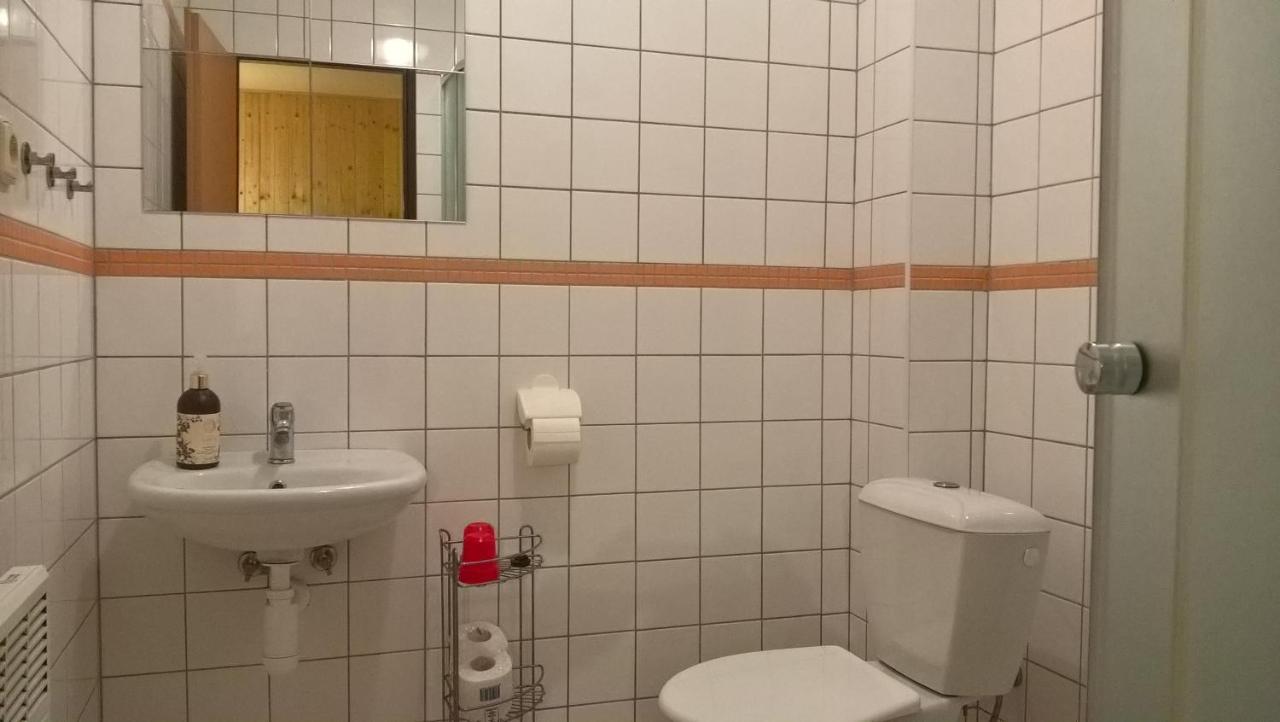 Appartement Studia Pod Lysou à Rokytnice nad Jizerou Extérieur photo