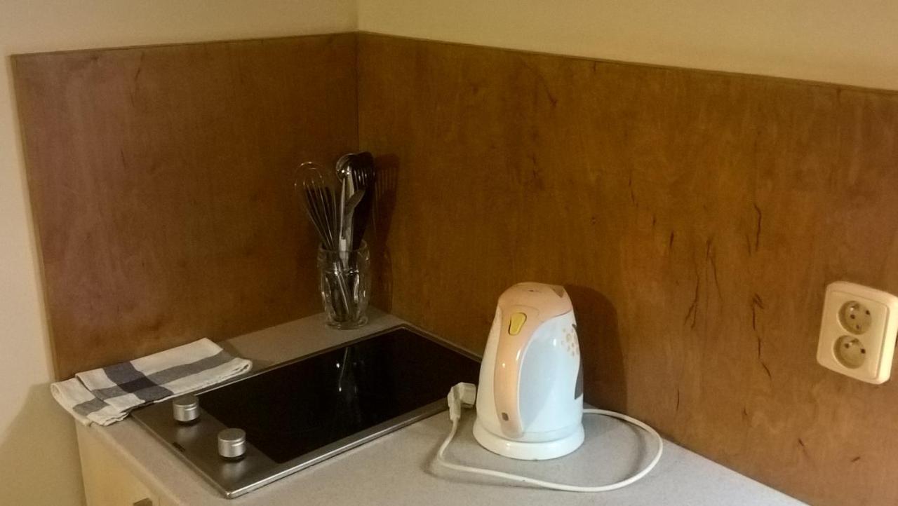 Appartement Studia Pod Lysou à Rokytnice nad Jizerou Extérieur photo